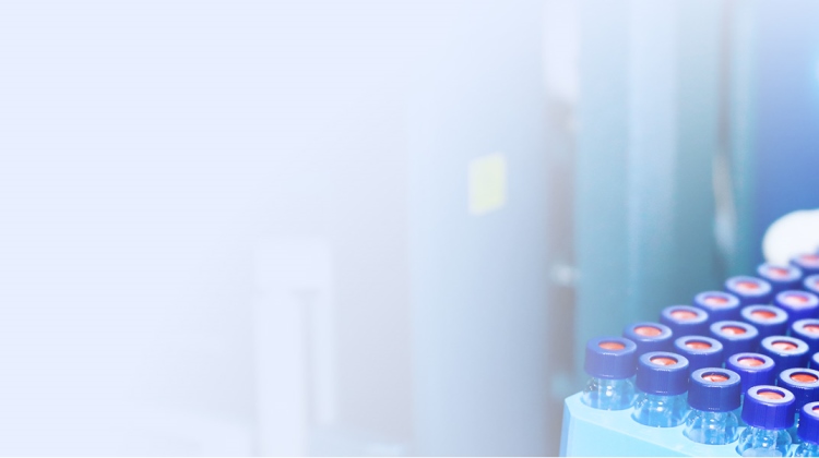 必发888(唯一)官方网站