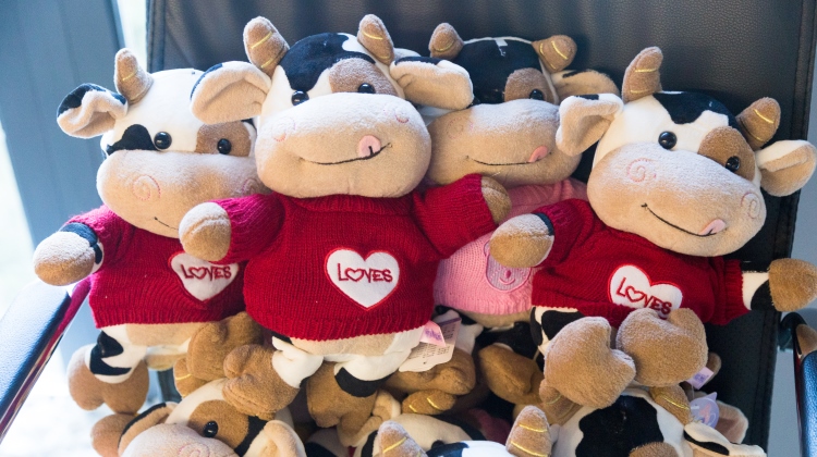 必发888(唯一)官方网站